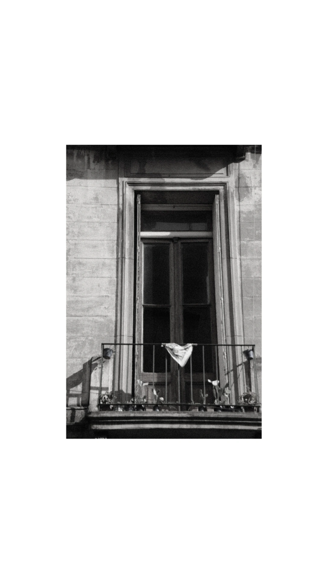 B&W 26.08.17 — 15