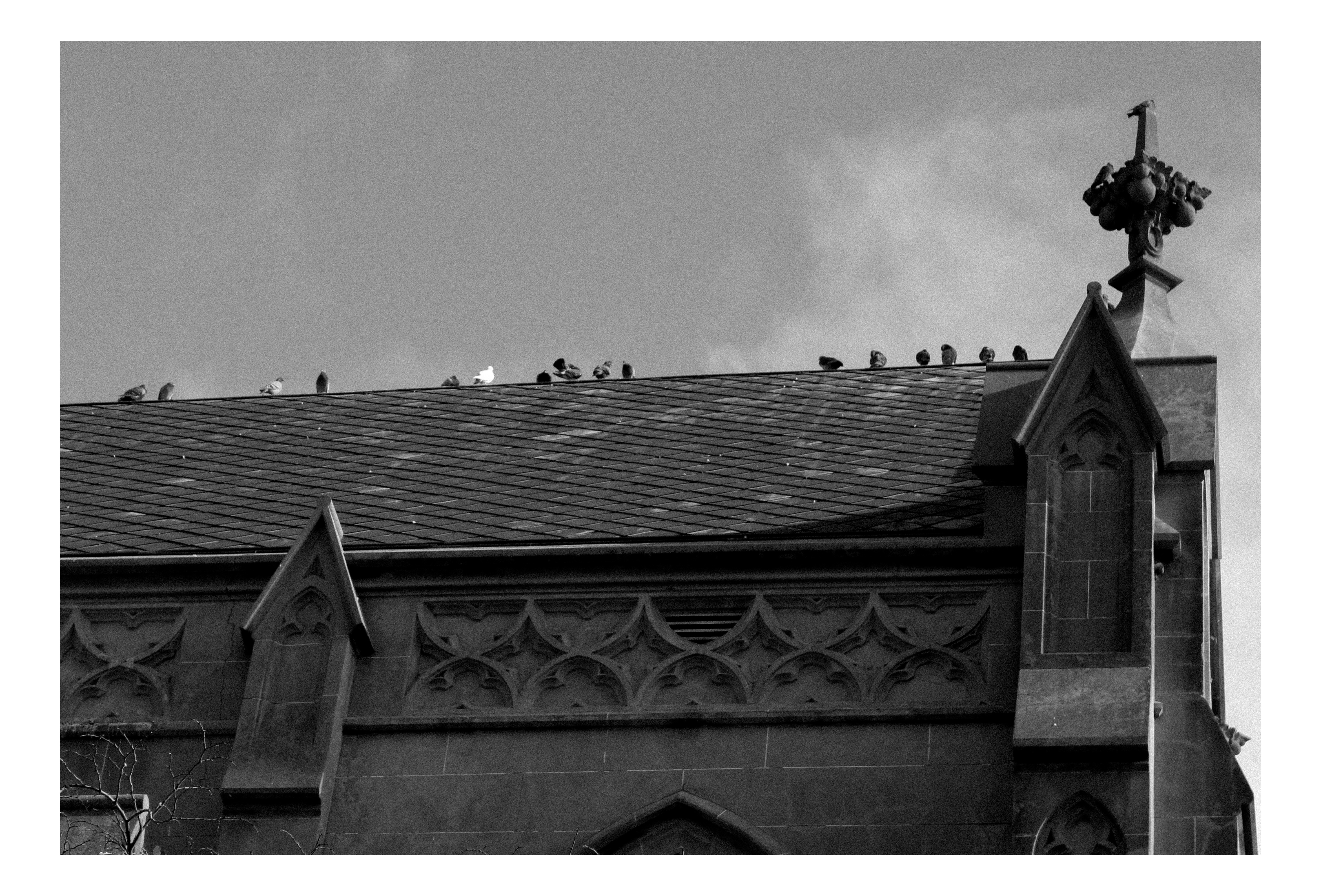 B&W 26.08.17 — 18